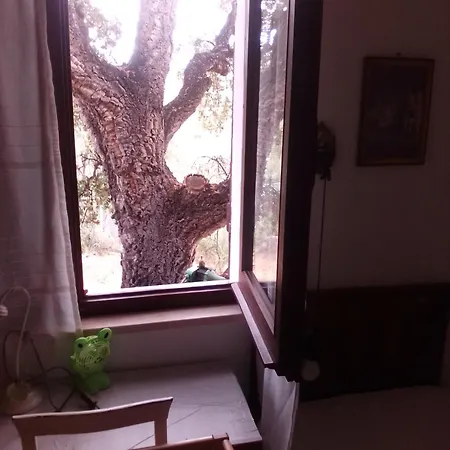 Sa Domu De Carmela * 풀라